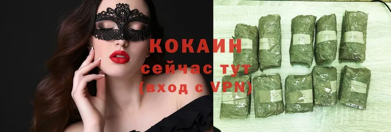 где найти наркотики  Змеиногорск  ОМГ ОМГ как войти  COCAIN Fish Scale 